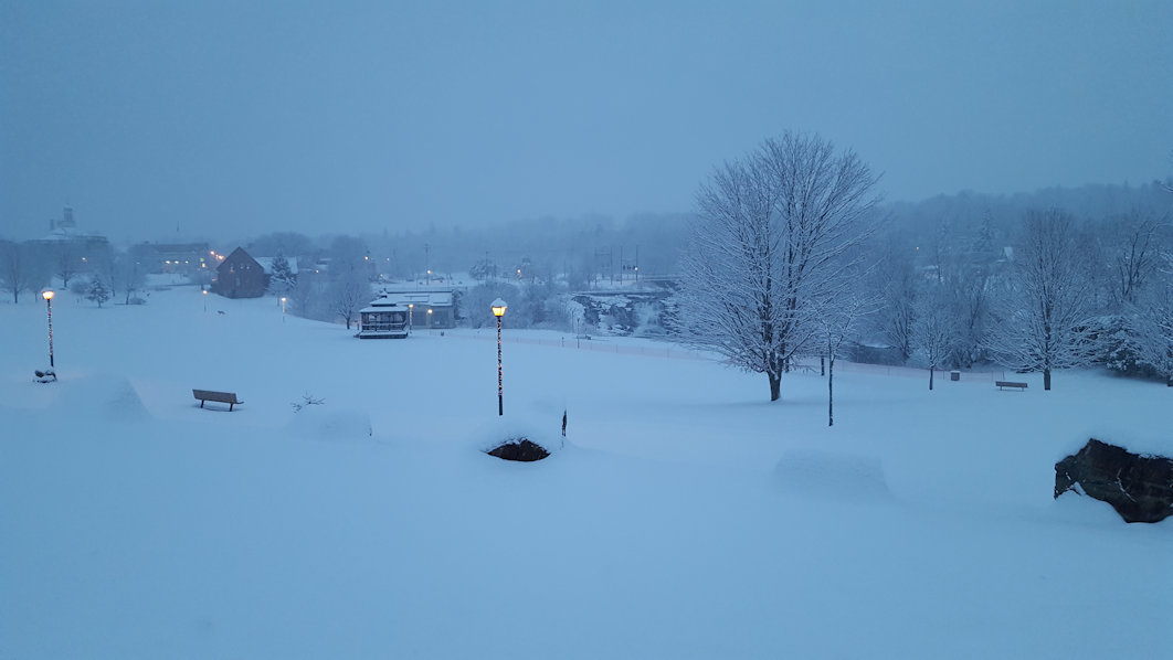 bicentennial park snowstorm03 29dec2016