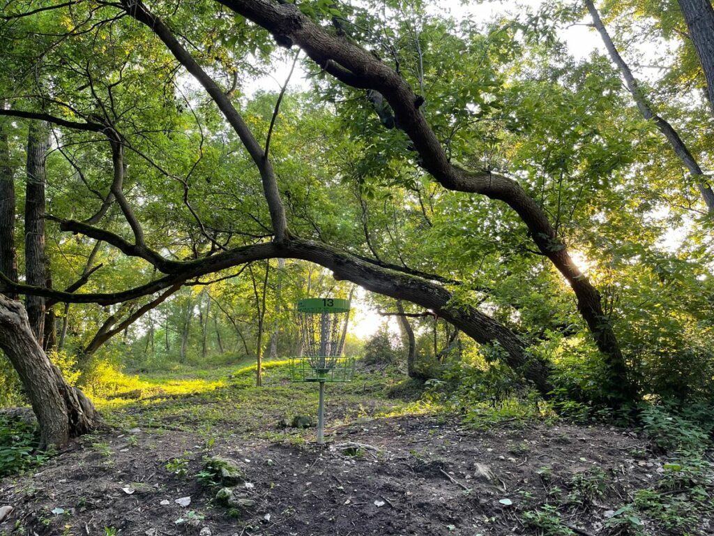 discgolf