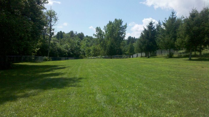 dog park