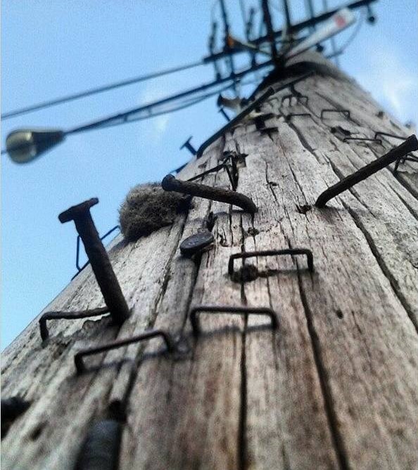 post-no-bills
