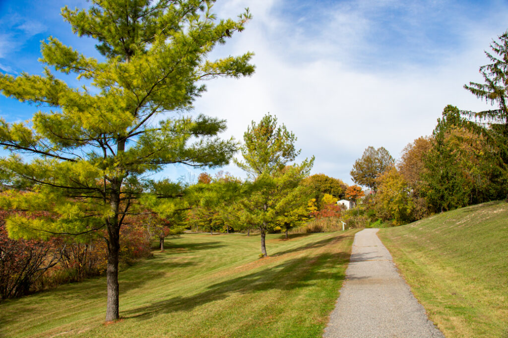 walking trail